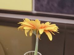 -眉州东坡(印象城购物中心店)
