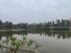 -枫香湖儿童公园