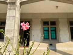 -上海市第三女子中学