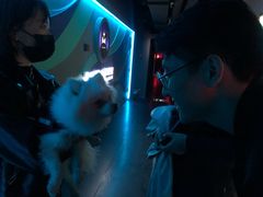 -夜幕浸入式超级密室(望京店)