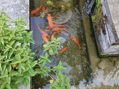 -东海半边山旅游度假区