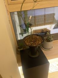 -AGE LOCK 锁龄美肌