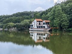-深圳仙湖植物园