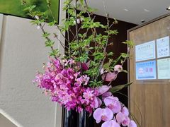 -深圳湾木棉花酒店