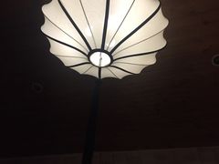 -馬蘭花開(车站大道店)