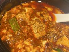 -陈麻婆豆腐总店