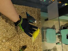 -怪兽屋·羊驼·猫咖·狗咖(俊华广场店)