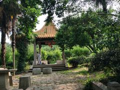 -雨花胜境