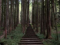 -武陵山森林公园