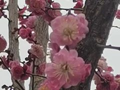 -城市运动公园(未央区)