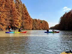 -上海海湾国家森林公园