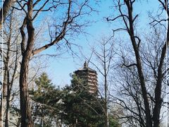 -玲珑塔公园