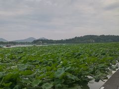 -北山街历史文化街区
