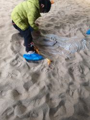 点击看大图 -恐龙探索乐园(磁器口店)