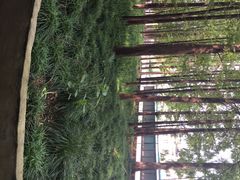 -同济大学(沪西校区)