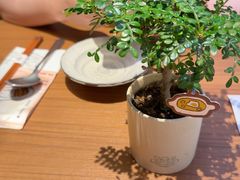 -CURRY YA 熟成咖哩專門店(深圳湾万象城店)