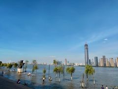 -武汉关码头(轮渡站)