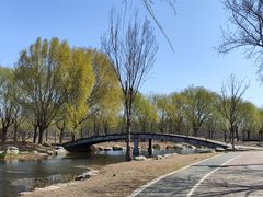 -北京凤凰岭