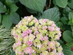 -常州古运河南大街文化旅游区-人民公园