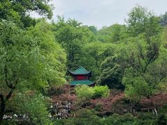-岳麓山风景名胜区