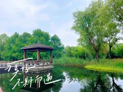 -同里国家湿地公园