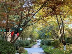 -春晖园度假酒店温泉