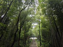 -青龙山国家森林公园