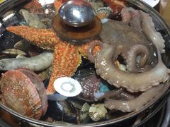 章鱼海鲜锅-东海章鱼馆(恒瑞街店)