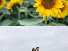 景点-天府芙蓉园