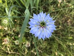 -永定河休闲森林公园