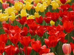 -国家植物园南园