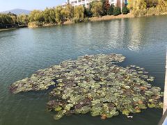 -江南大学(蠡湖校区)