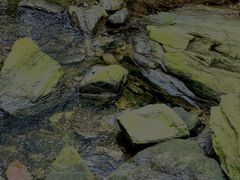 -素山寺森林公园