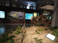 -自贡恐龙博物馆