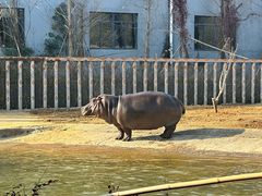 -杭州野生动物世界