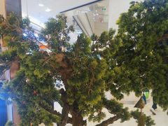 -三江源活鱼现烤(维多利摩尔城店)