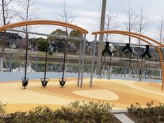 -昆山城市生态森林公园