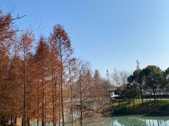 -尚贤河湿地