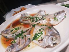 -阿莉餐厅(枣阳路店)