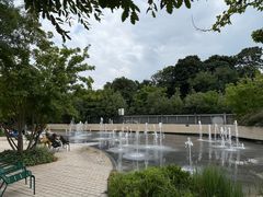 -巴黎路易威登基金会艺术中心 