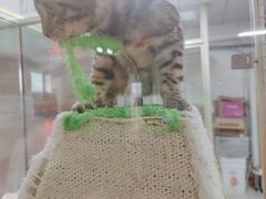 -山东柏宁水族批发广场