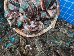 -蓝珊甄选海鲜自助·火锅大排档(近阿那亚店)