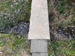 -香雪海
