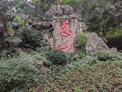 -忠山公园