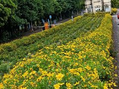 -紫颐香薰山谷景区