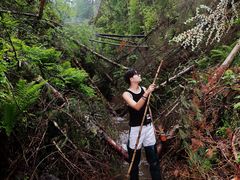 -峡谷浮石林景区