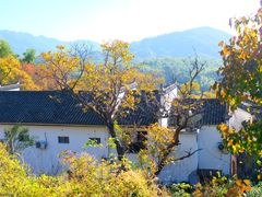 -塔川景区
