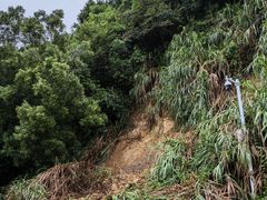 -梧桐山风景名胜区