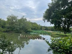 -西溪国家湿地公园