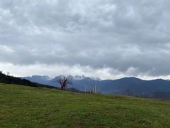 -硗碛藏寨·神木垒景区